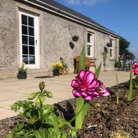 Ballyconnelly Cottages, Galgorm Area Cullybackey Екстер'єр фото
