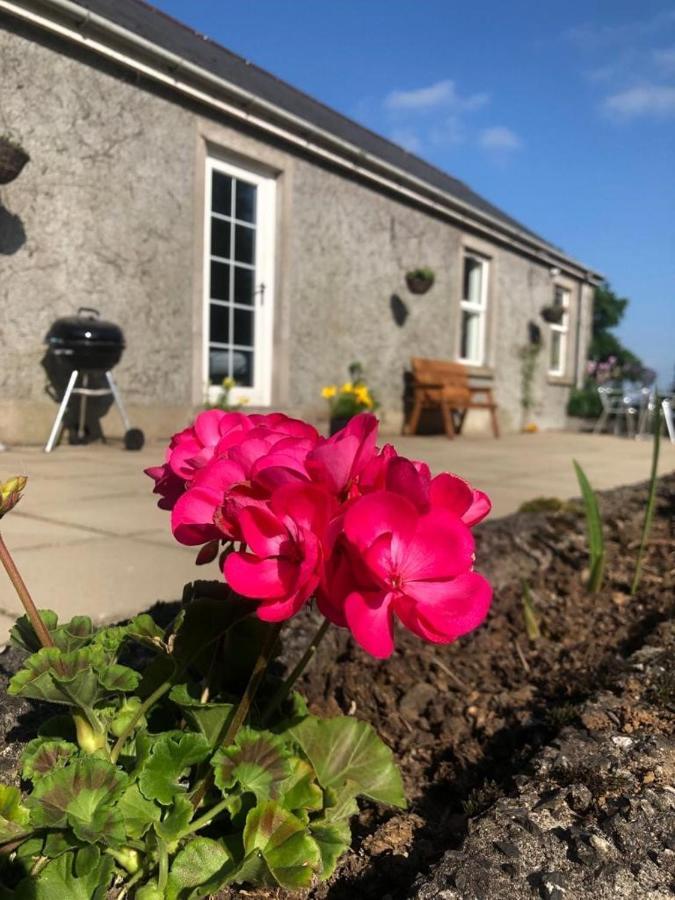 Ballyconnelly Cottages, Galgorm Area Cullybackey Екстер'єр фото